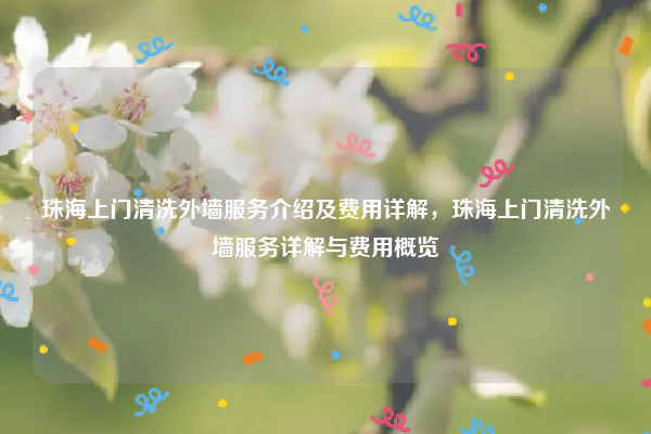 珠海上门清洗外墙服务介绍及费用详解,珠海上门清洗外墙服务详解与费用概览