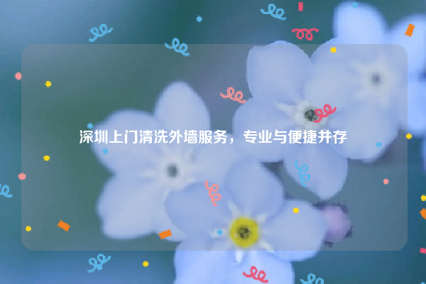 深圳上门清洗外墙服务，专业与便捷并存