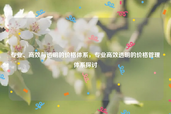 专业、高效与透明的价格体系,专业高效透明的价格管理体系探讨