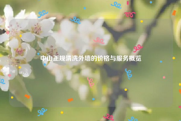 中山正规清洗外墙的价格与服务概览