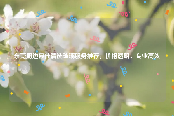 东莞周边最佳清洗玻璃服务推荐,价格透明、专业高效