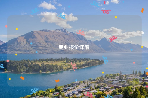 专业报价详解