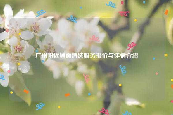 广州附近墙面清洗服务报价与详情介绍